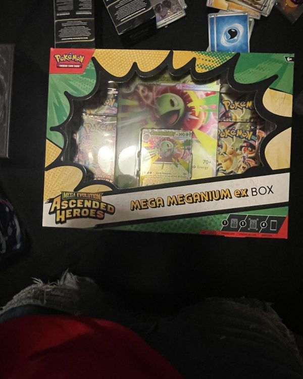 Mega Meganium ex Box